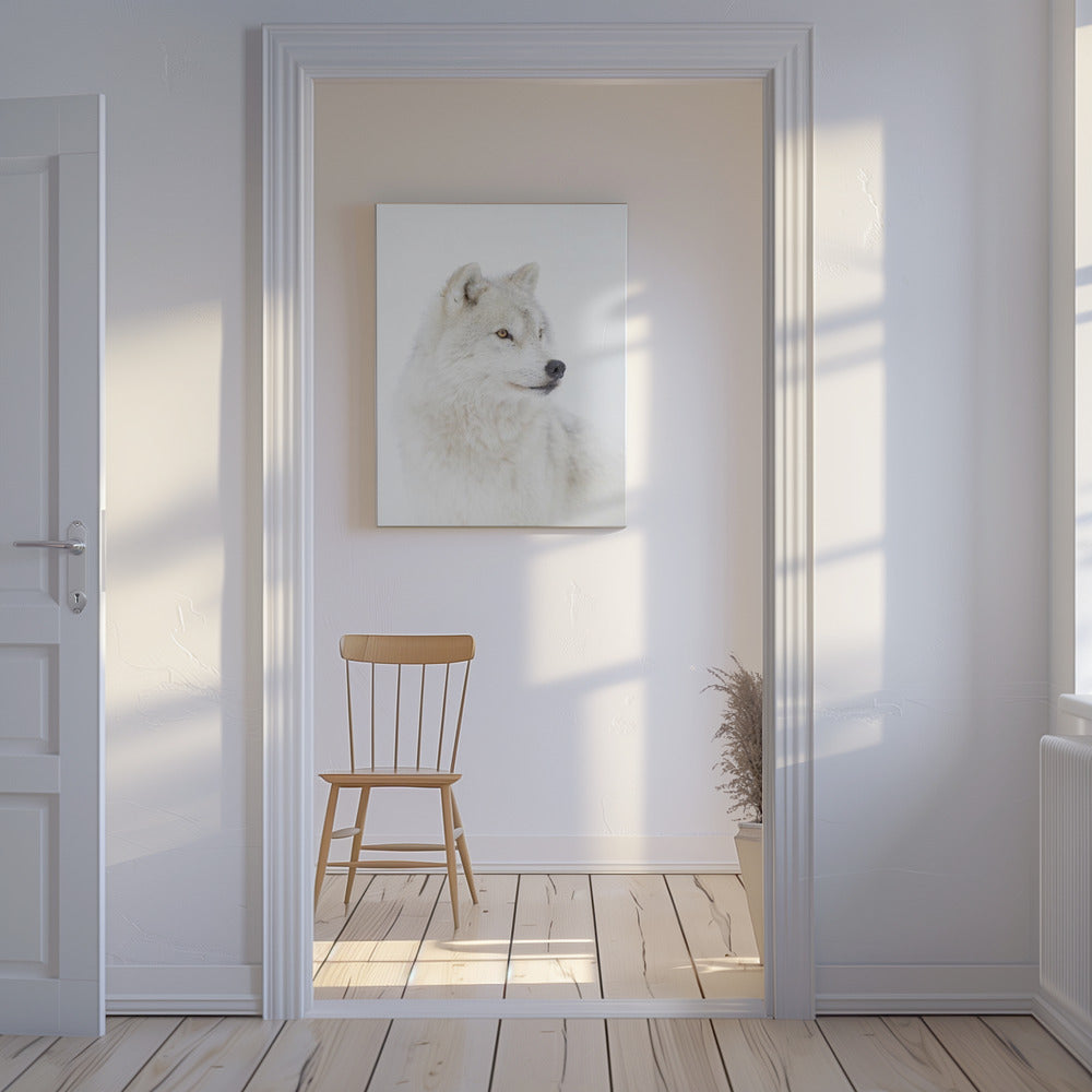 Porträtt av en arktisk varg | Canvas