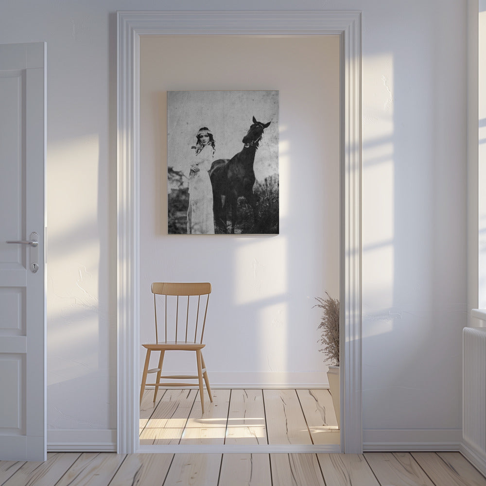 napelu | Canvas