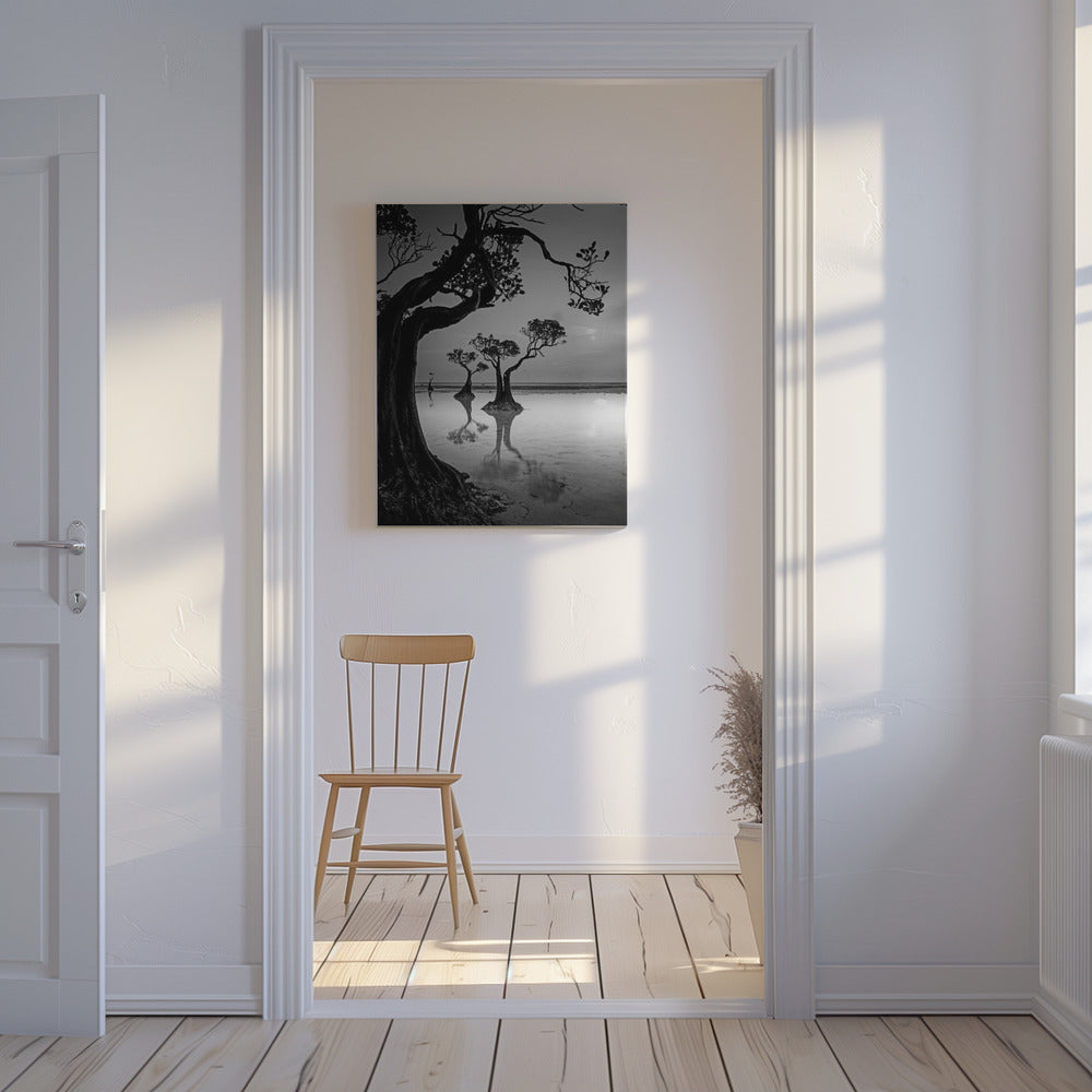 Framing | Canvas