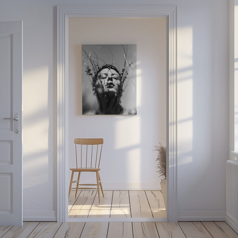 Untitled | Canvas