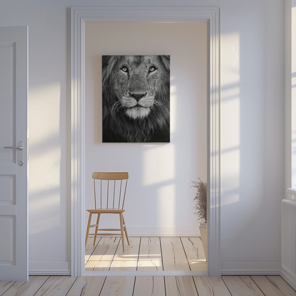 Royal portrait | Canvas