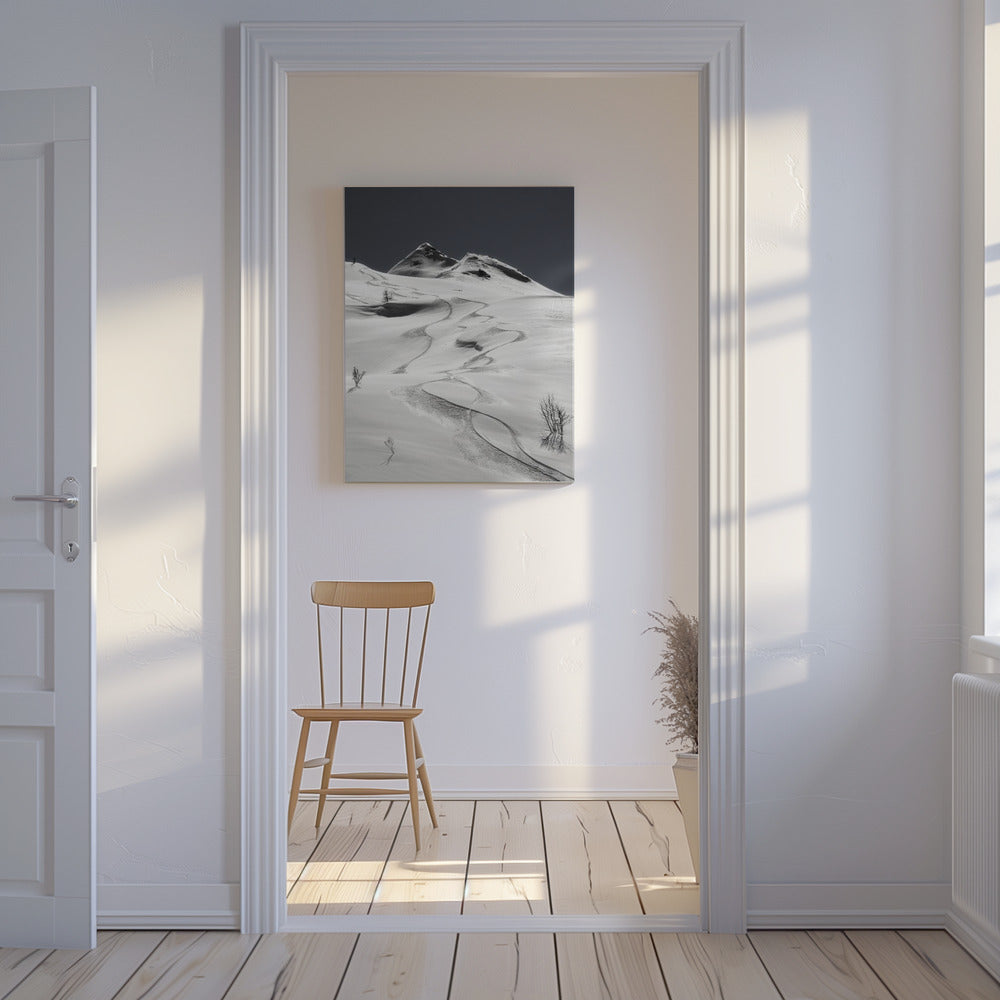 snålskjuts | Canvas