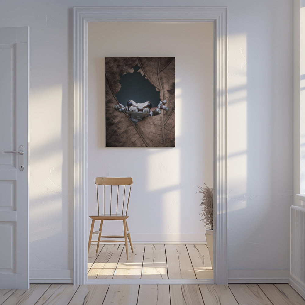 hello... | Canvas