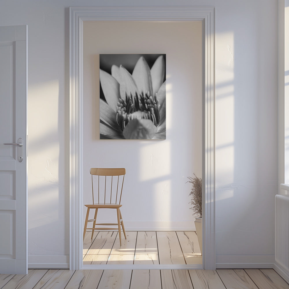 Flower, close up | Canvas