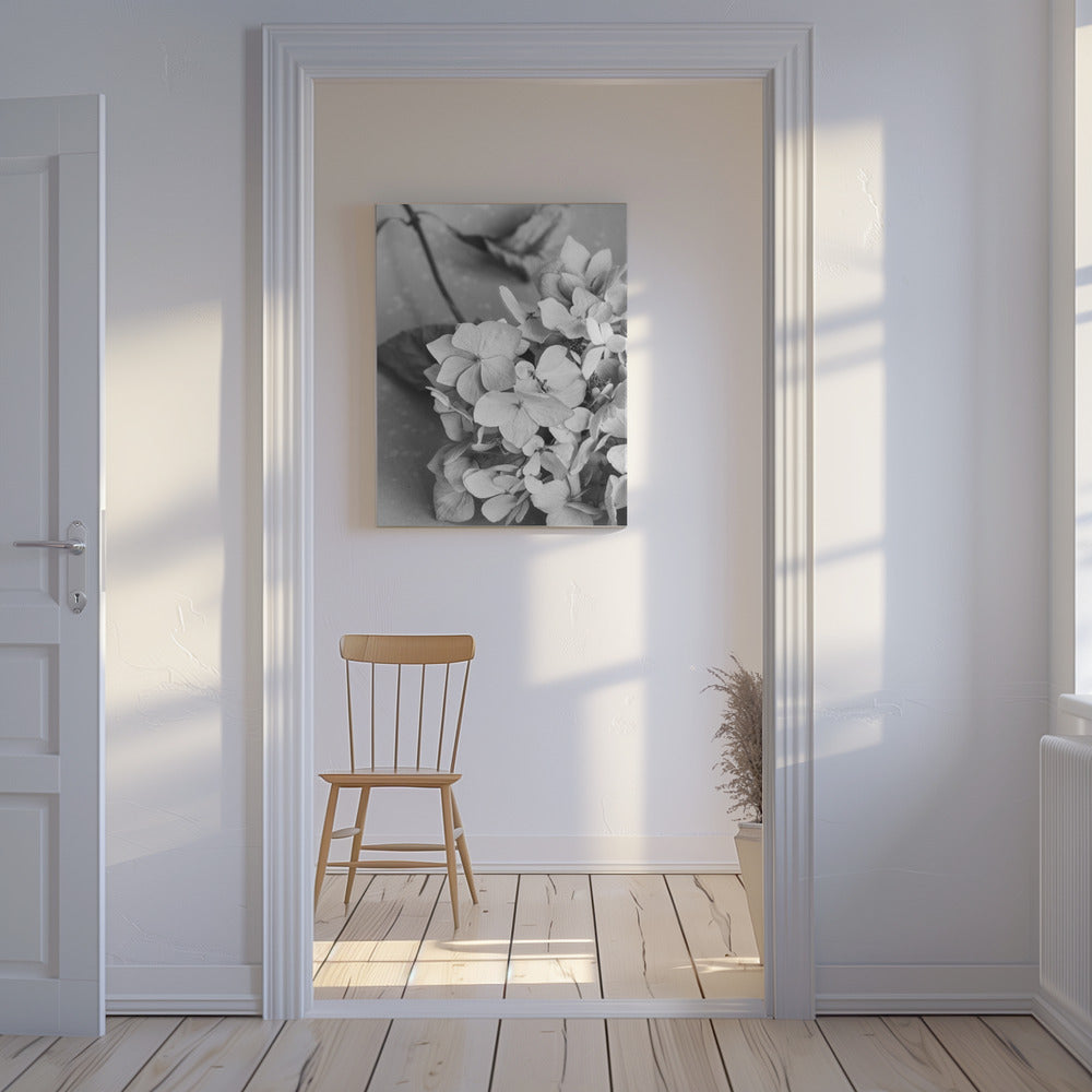 Dried Flowe ron Plate_black & white | Canvas