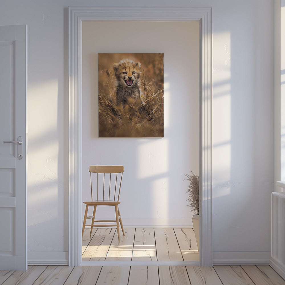 Stort leende | Canvas