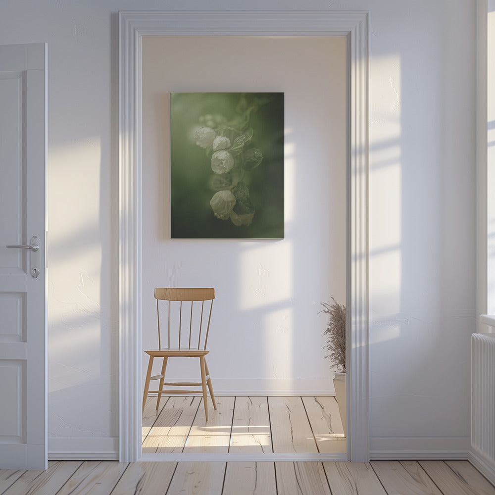 Jasmin | Canvas