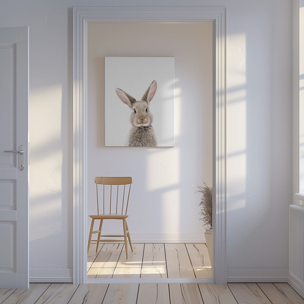 Baby Rabbit | Canvas