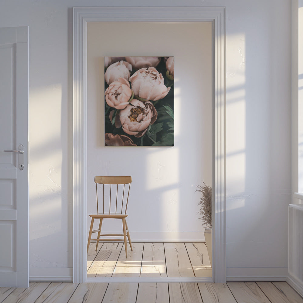 Korallpioner | Canvas