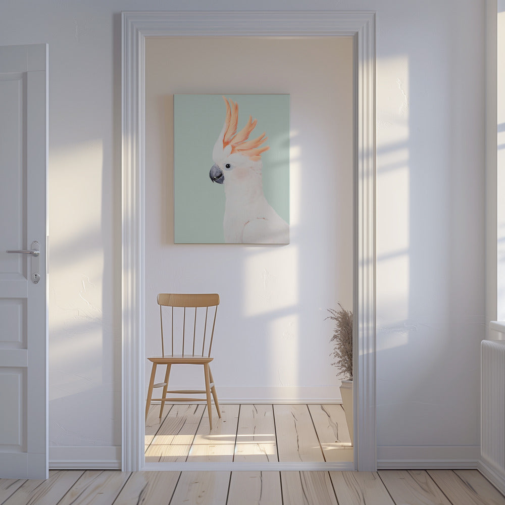 Cacatoès | Tableaux sur Toile