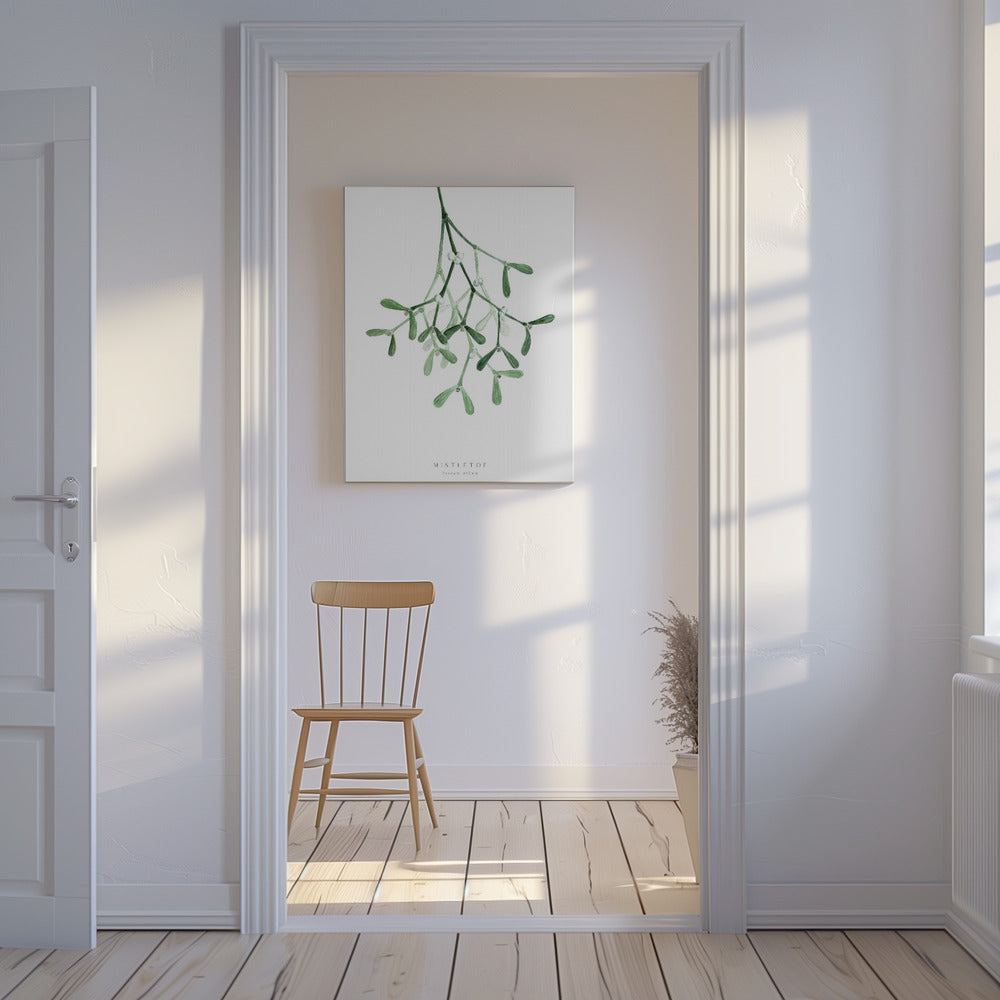 Watercolor mistletoe | Canvas
