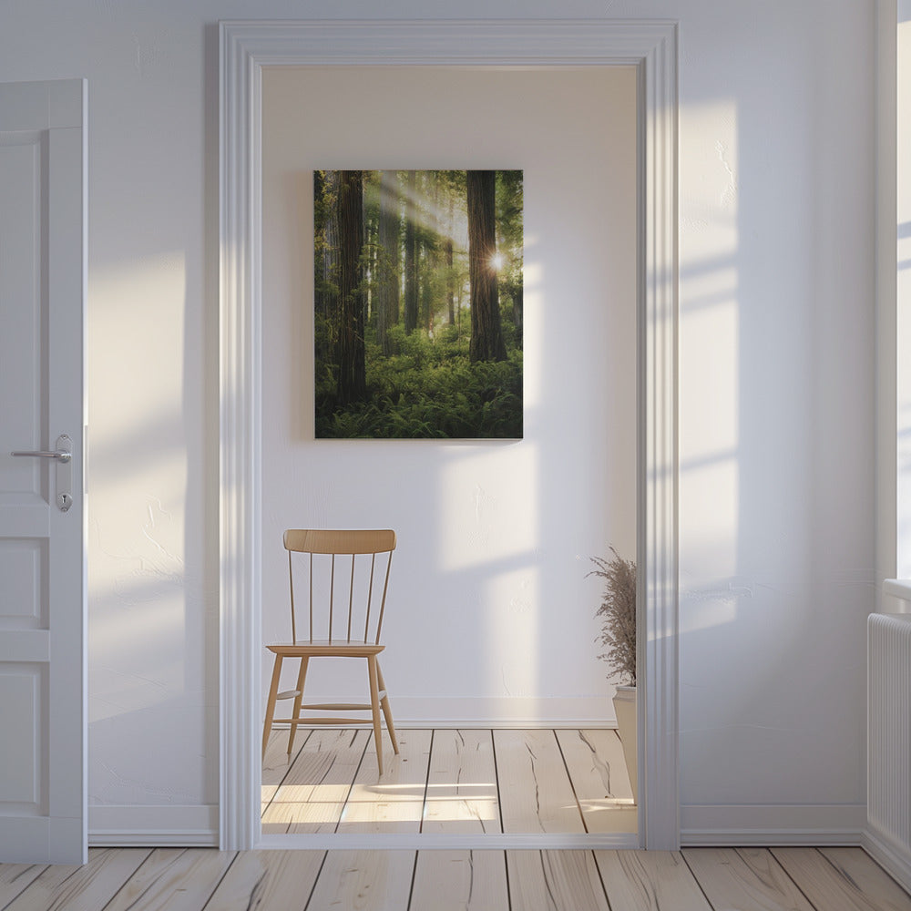Fairy Forest | Canvas