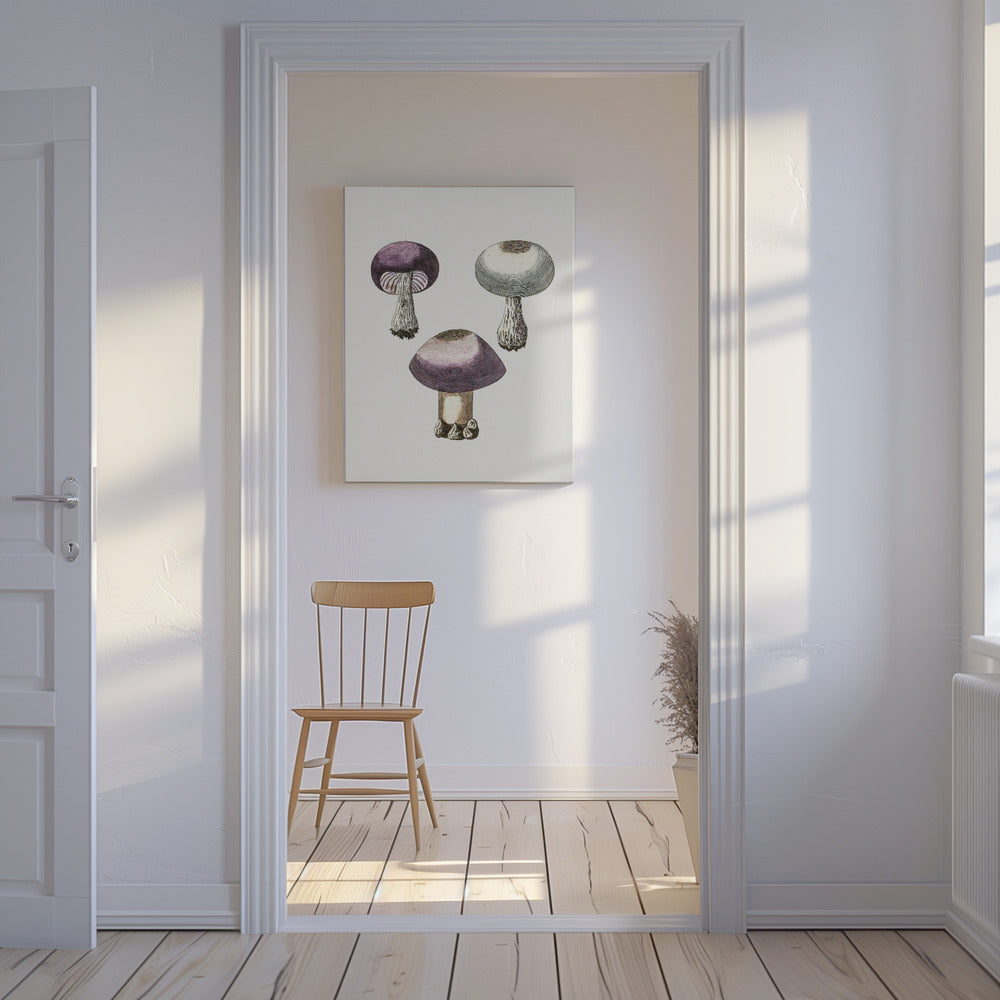 Handmörk violett webcap-svamp | Canvas