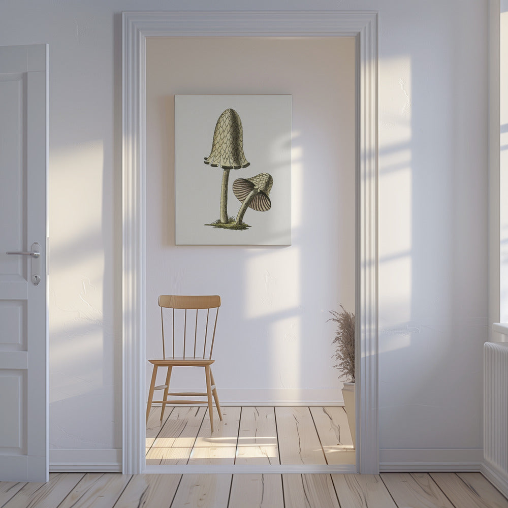 Ätbar svamp i vintage-stil med bläckmotiv | Canvas