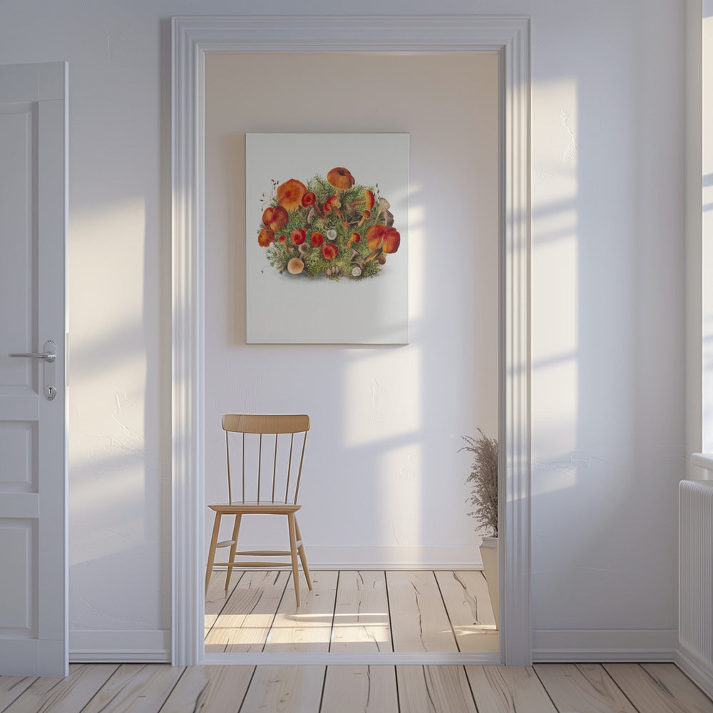 Studie av svampar (1880) Porträttläge | Duk