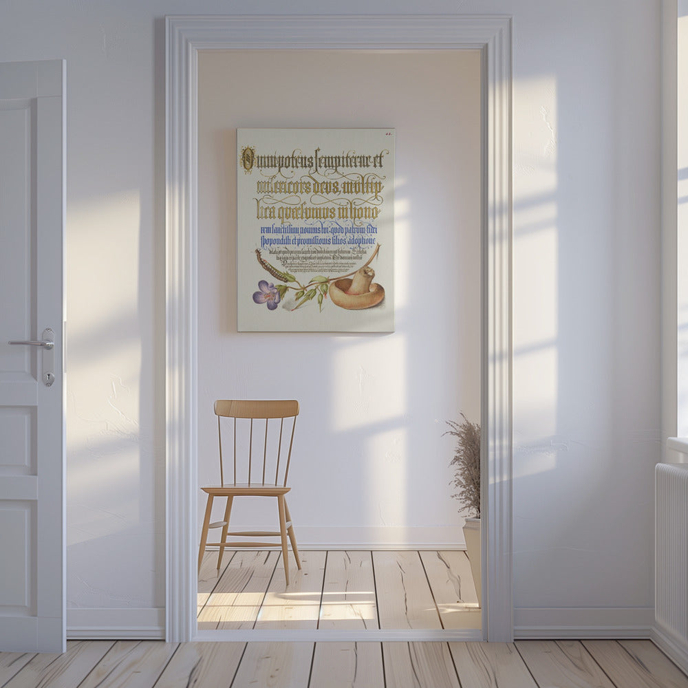 Svampposter | Canvas