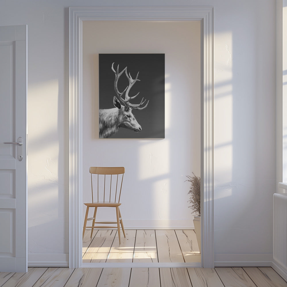 Renar | Canvas