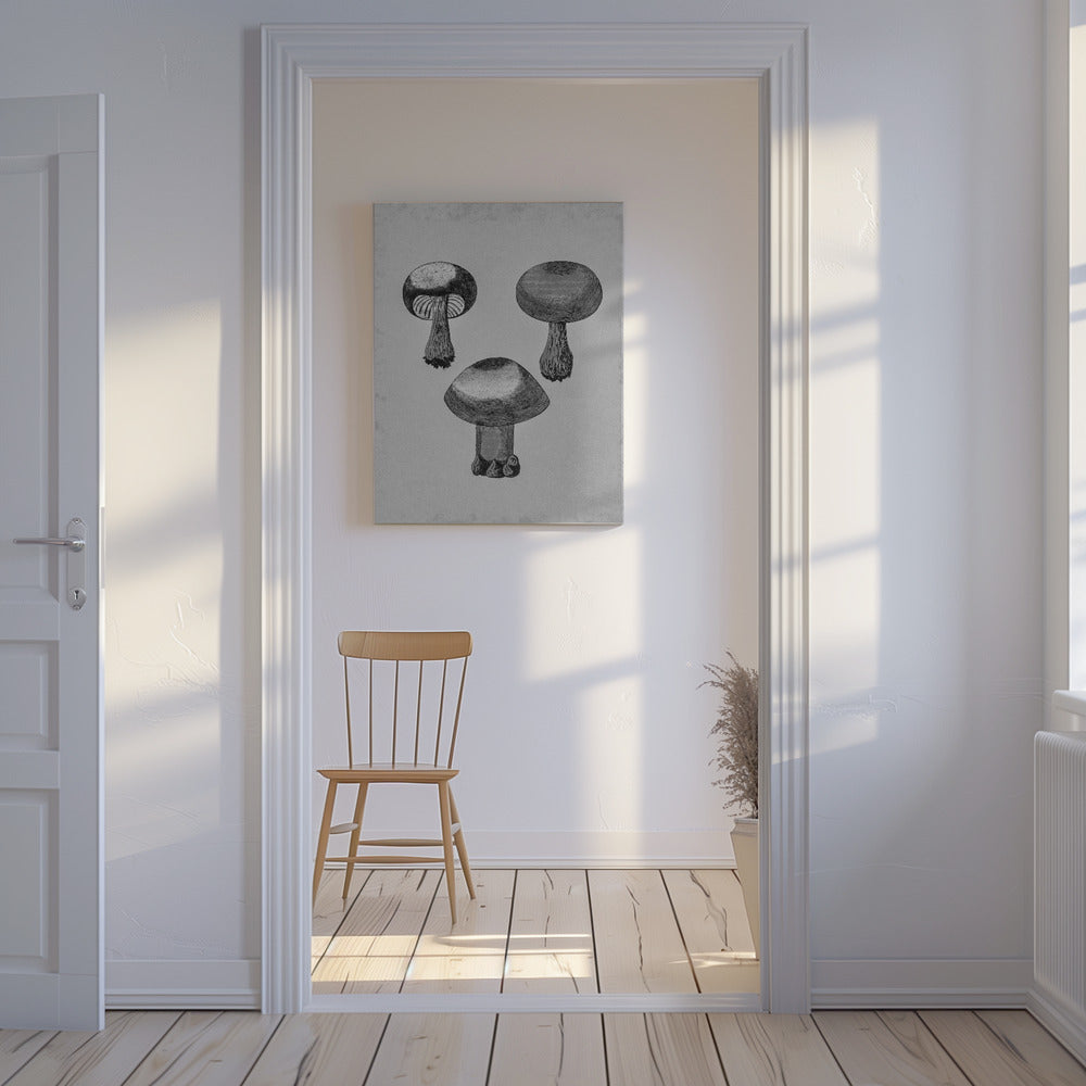 Violett Webcap-svamp | Canvas
