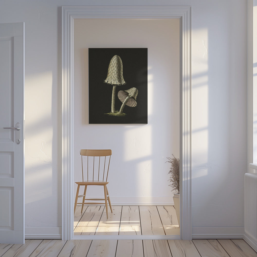 Vintage bläckmössa ätbar svamp svart bakgrund | Canvas