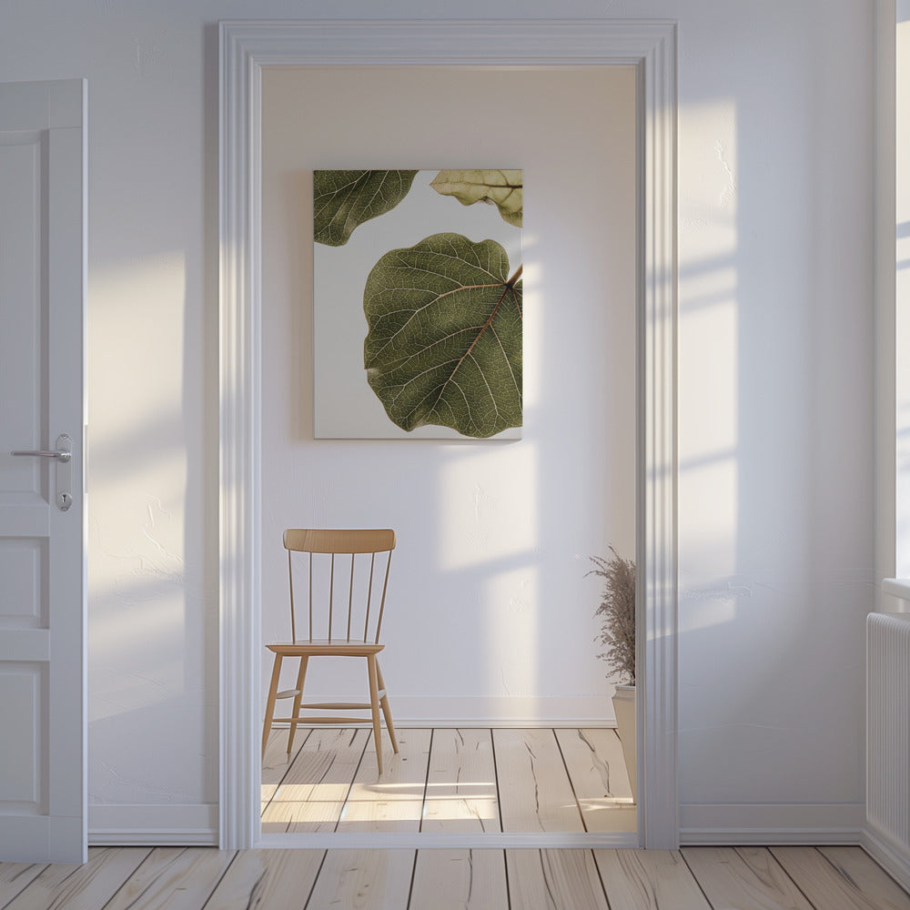 Abutifolia No2 | Canvas