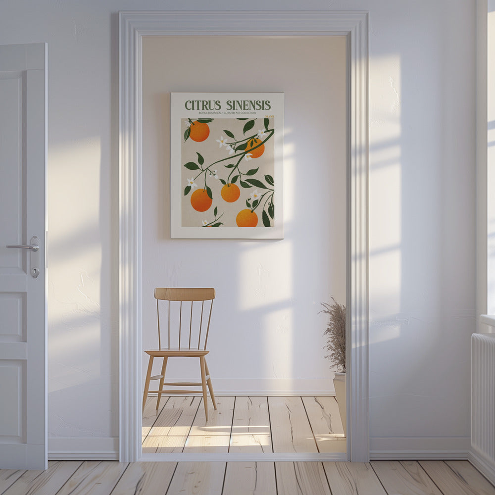 Citrus Sinensis - Orange | Canvas