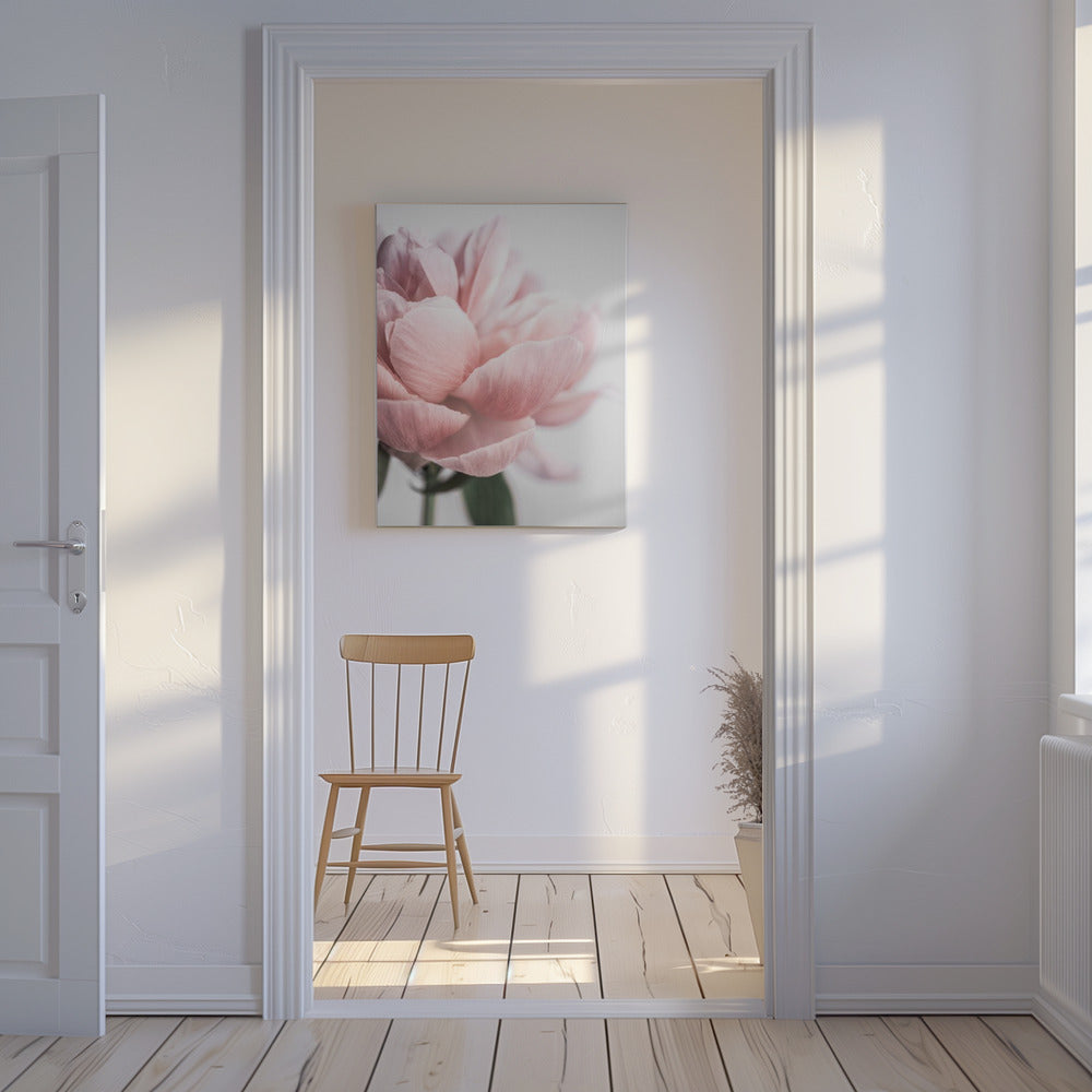 Peony 3 | Canvas