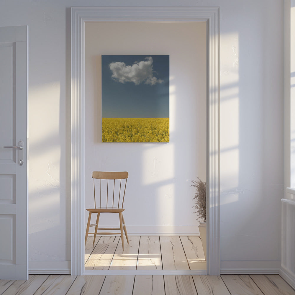 Vision | Canvas