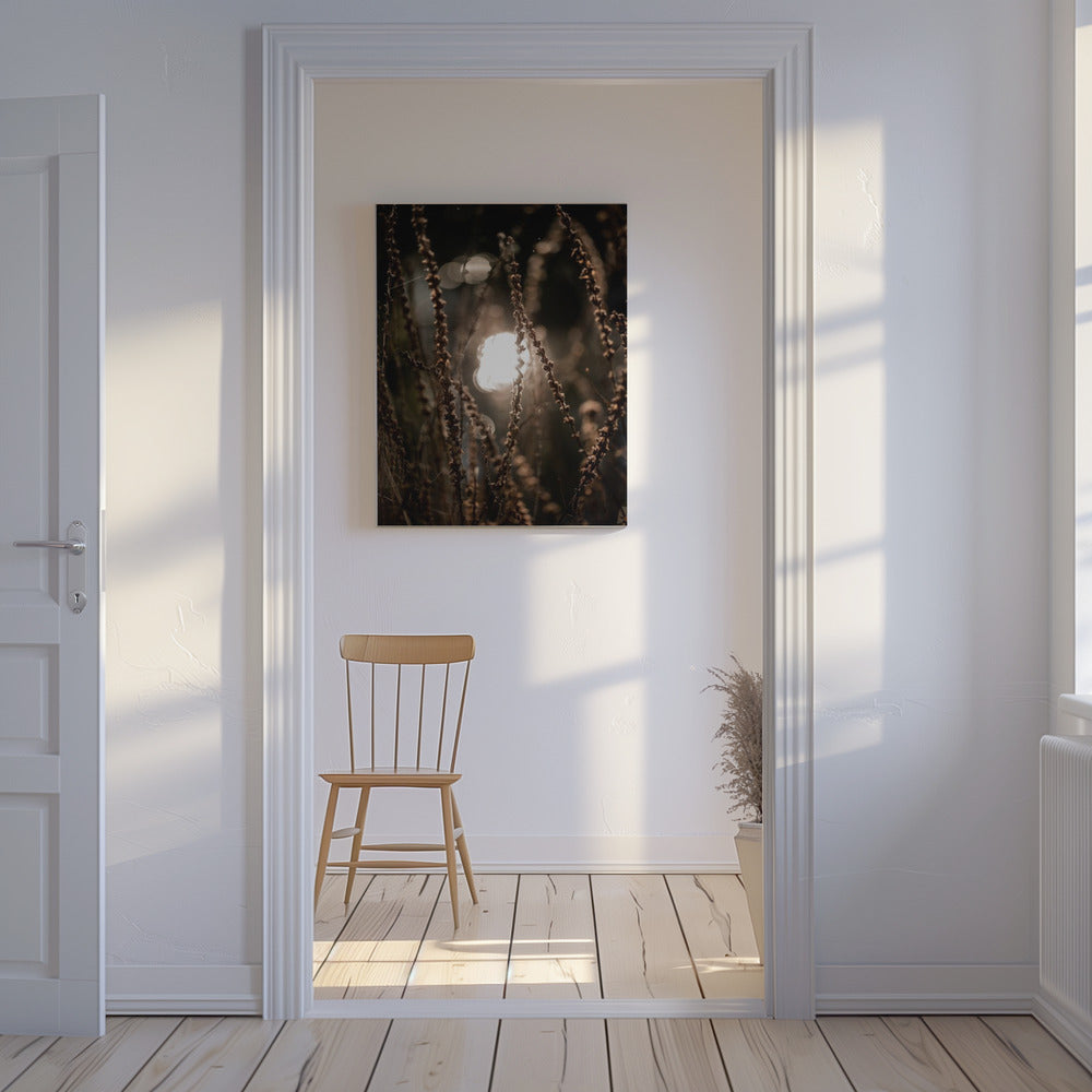 Autumn Lights 2 | Canvas
