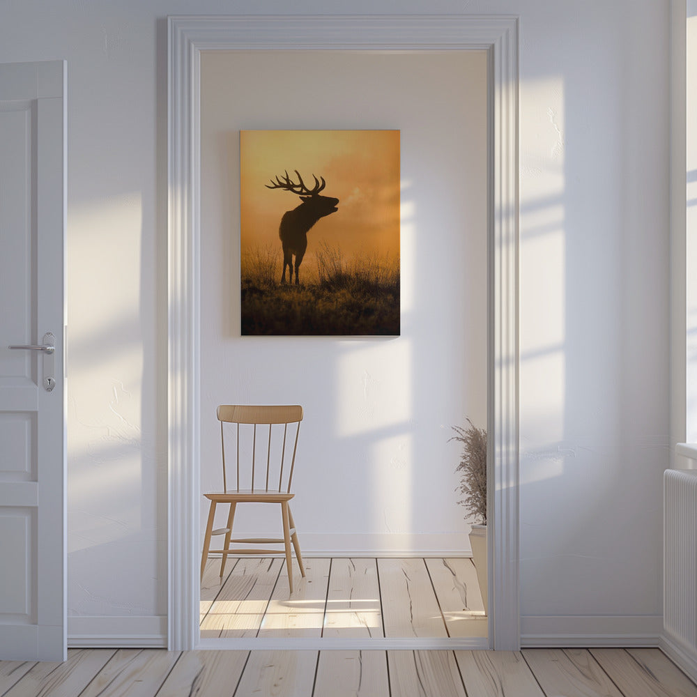 Morgonrop | Canvas