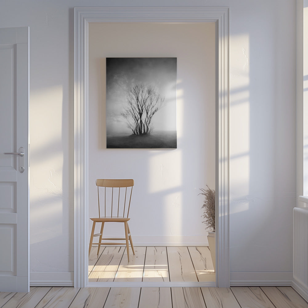 naken | Canvas