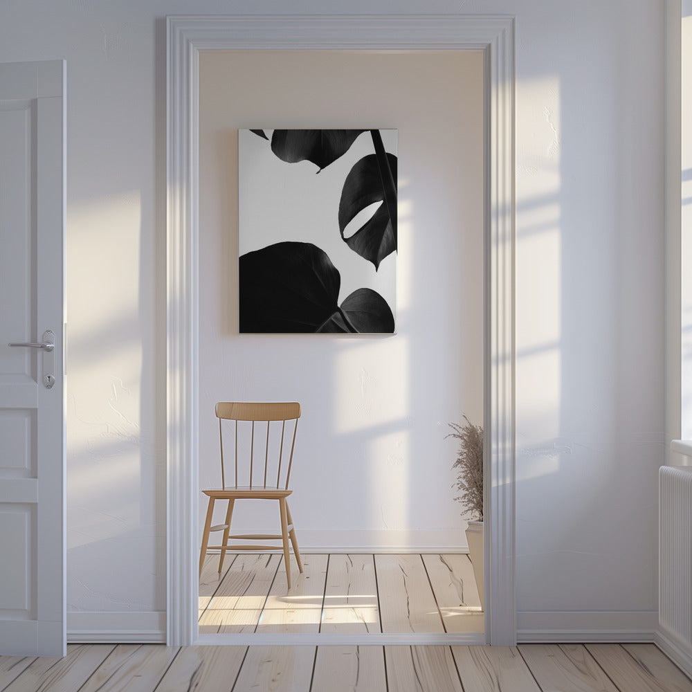 Kontrasterande Monstera | Canvas