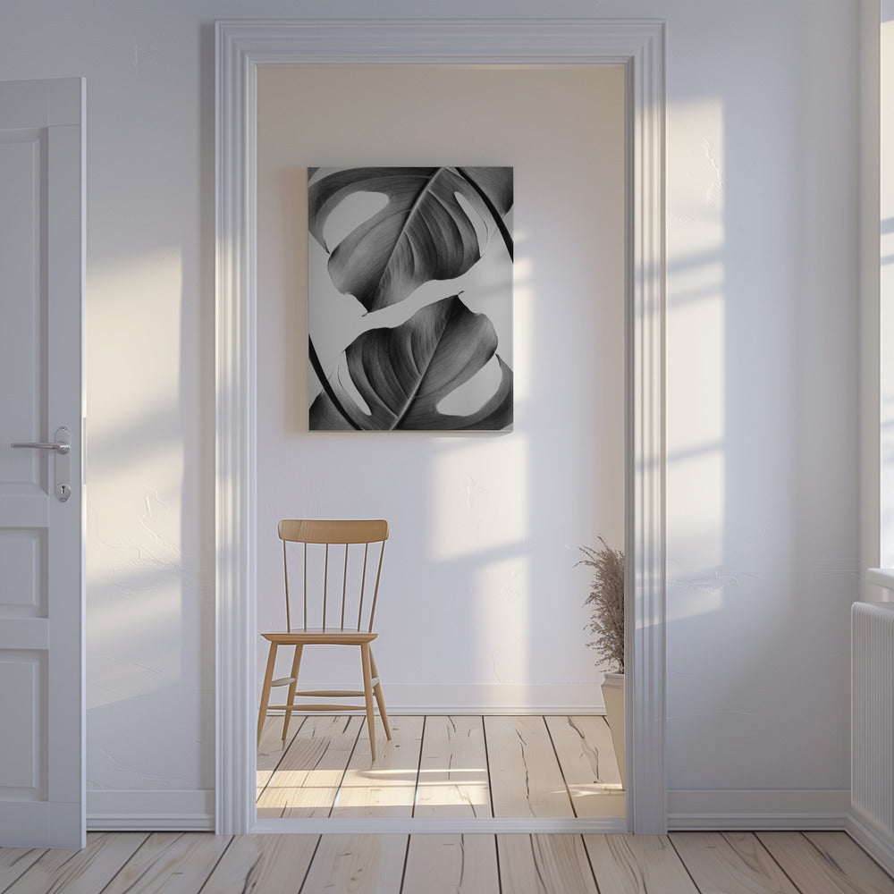 Monstera Monokrom | Canvas