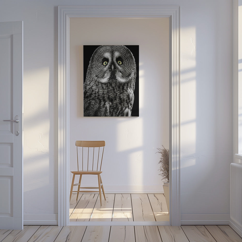 Uggla | Canvas