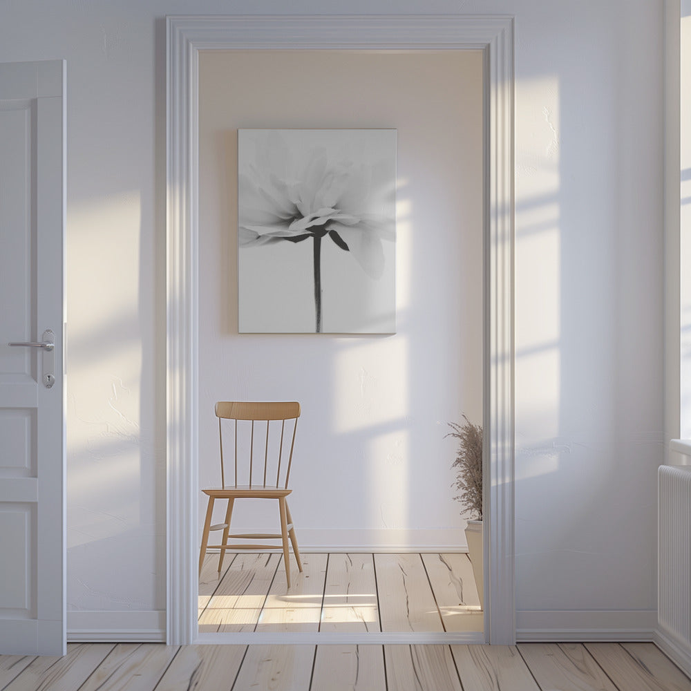 Japandi Coco | Canvas