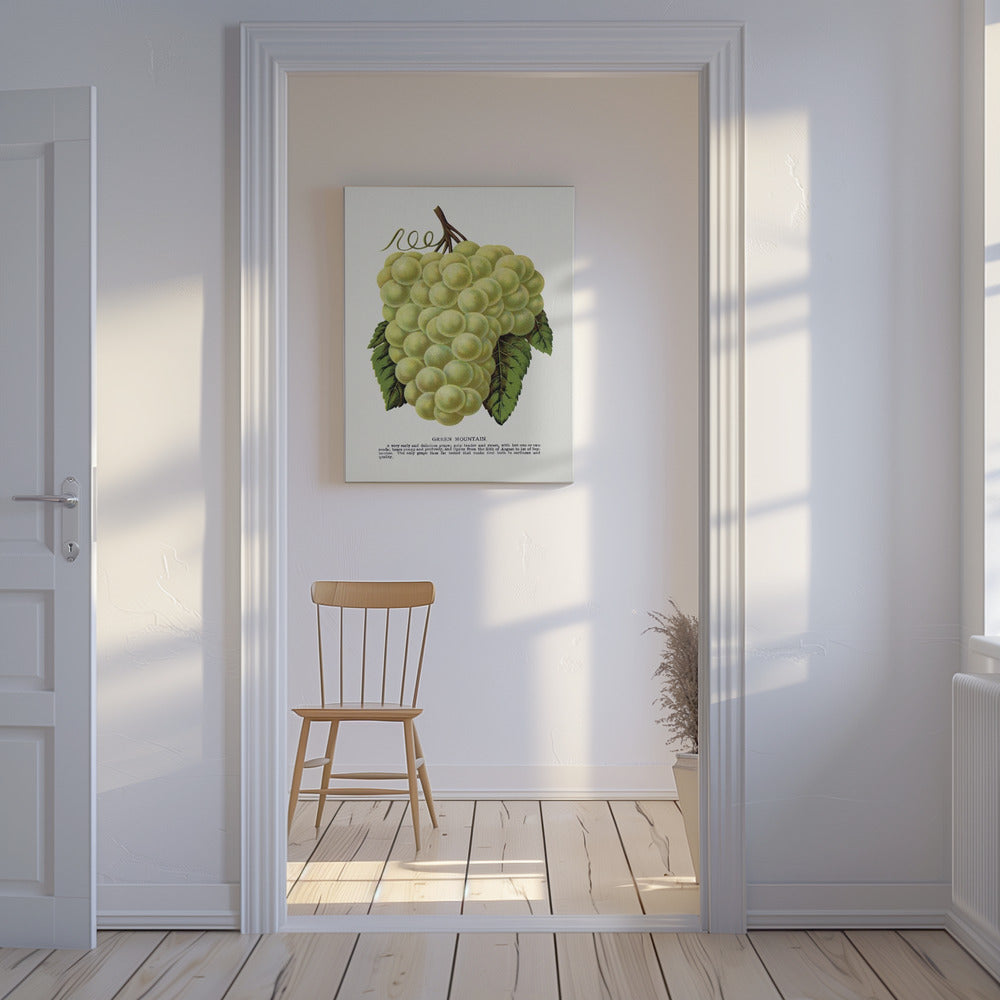 Litografi av Green Mountain Grape | Duk