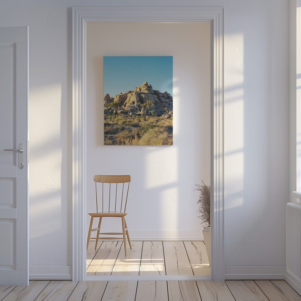 Joshua Tree Sunset | Canvas