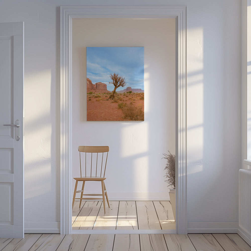 Monument Valley XI | Canvas