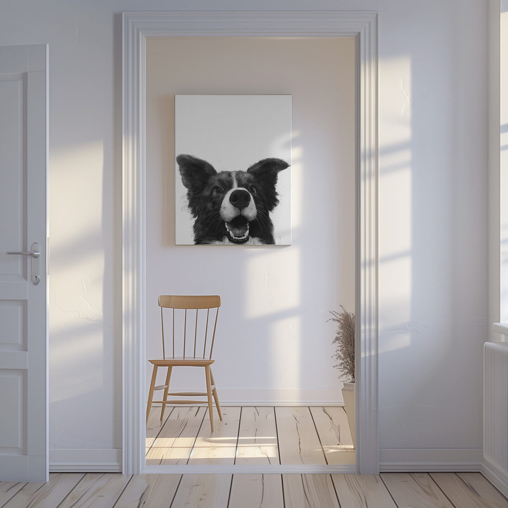 Freudiger Hundeblick | Leinwand-Bilder