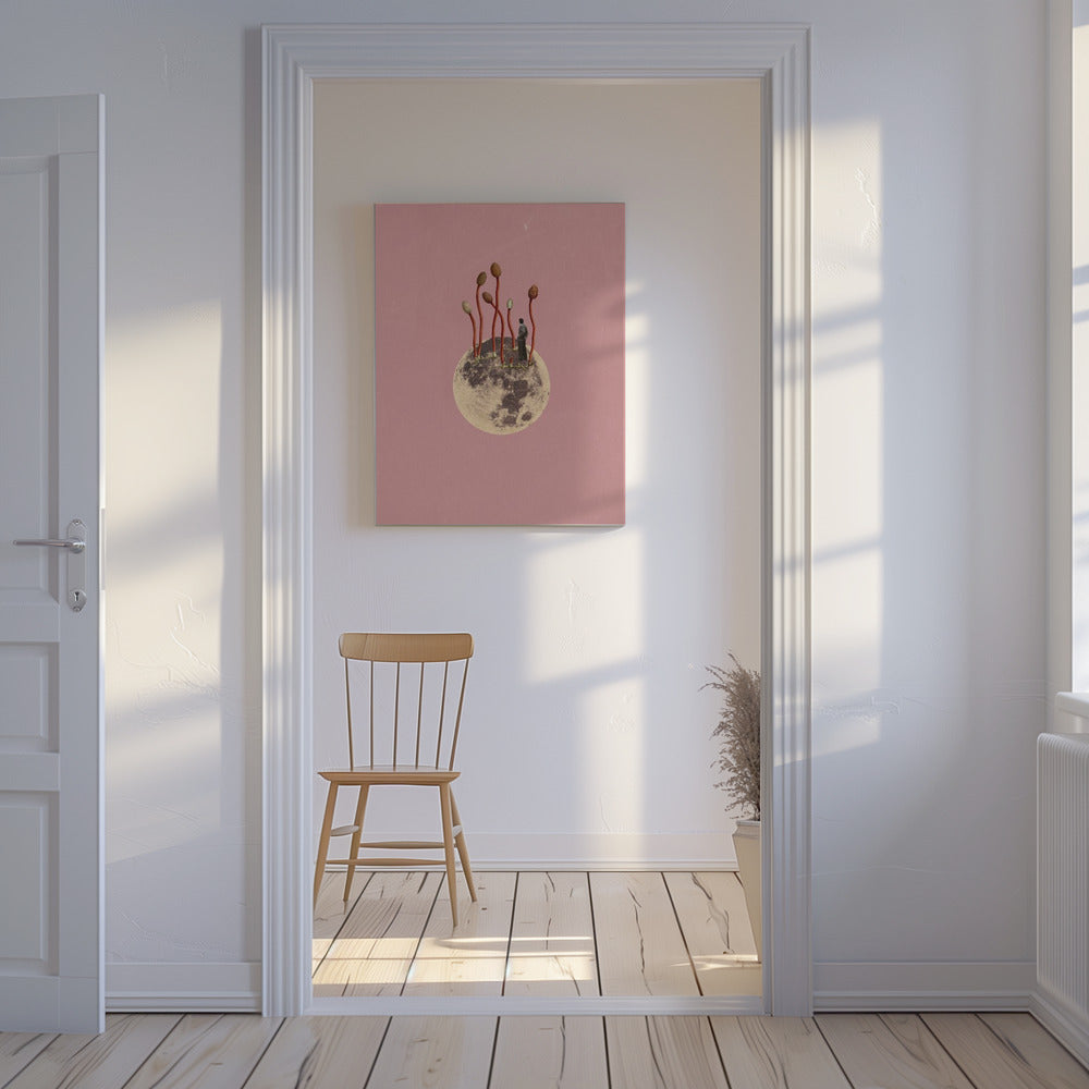 Månens tillväxt | Canvas