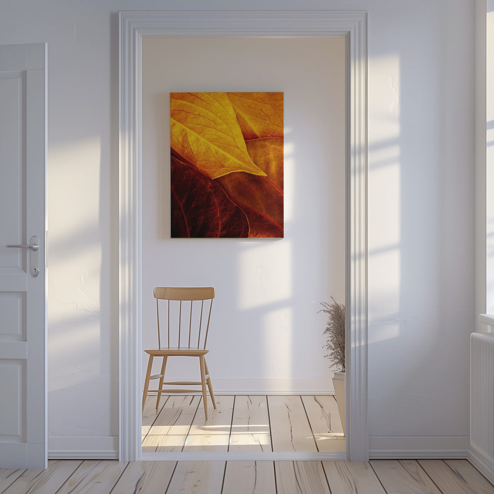 Leaves | Canvas