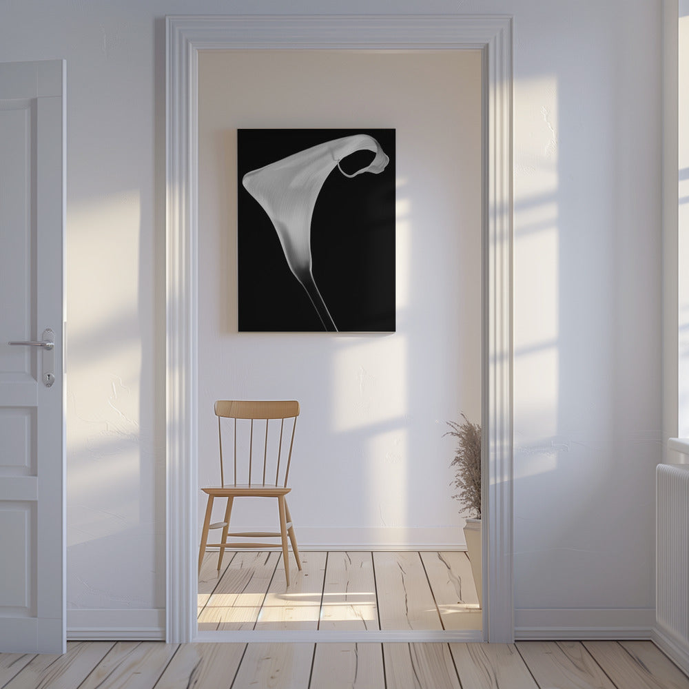 Calla | Tableaux sur Toile