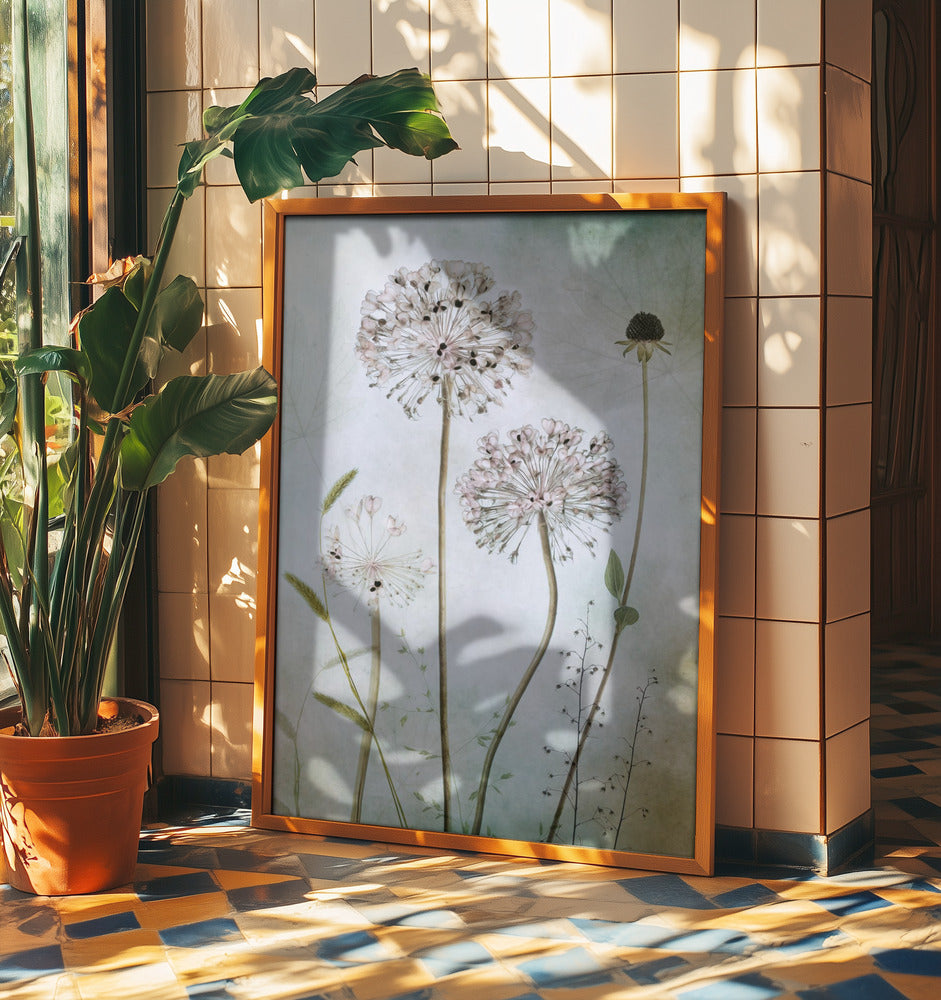 Allium | Poster