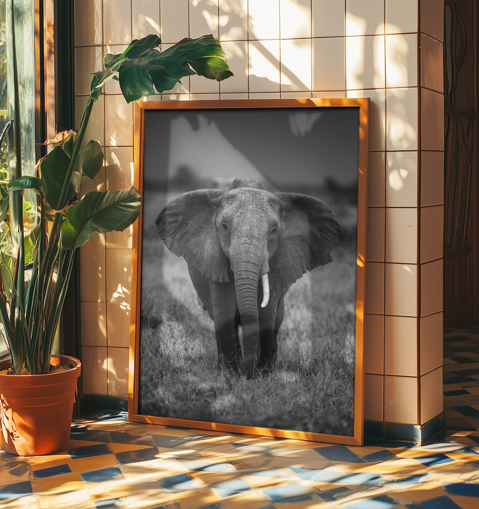 SINGULARITET | Poster