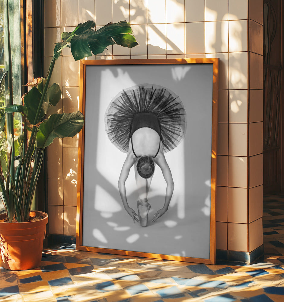 Balettteknik | Poster