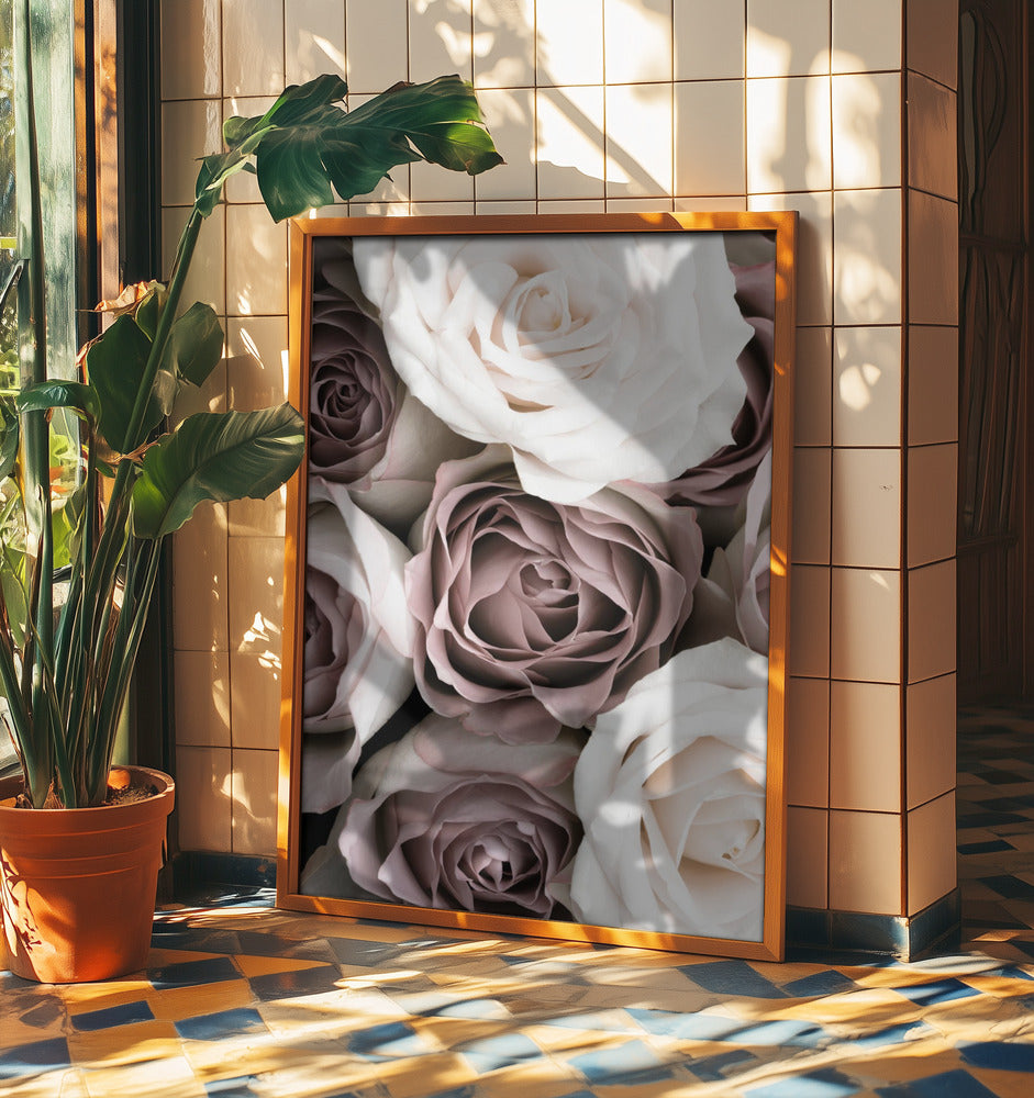 Rosor | Poster
