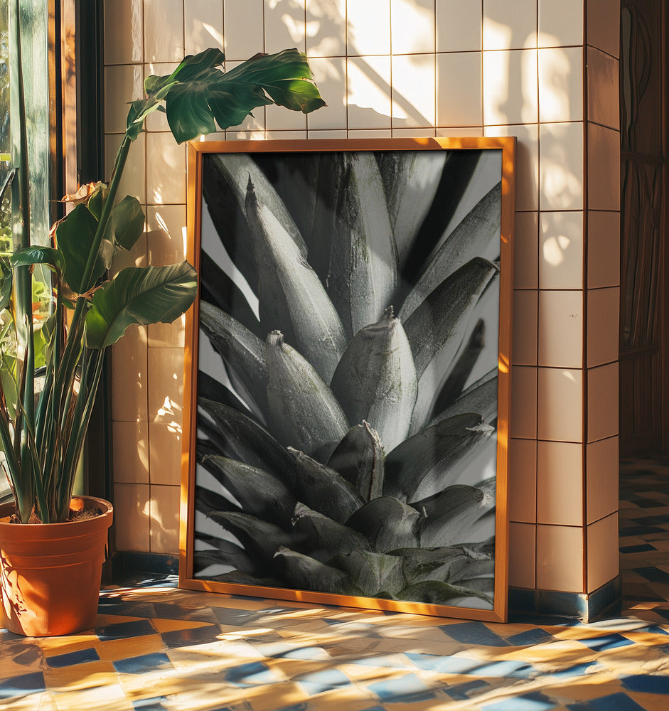 Ananas närbild | Poster