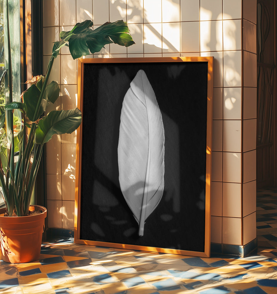 Feather_008 | Poster