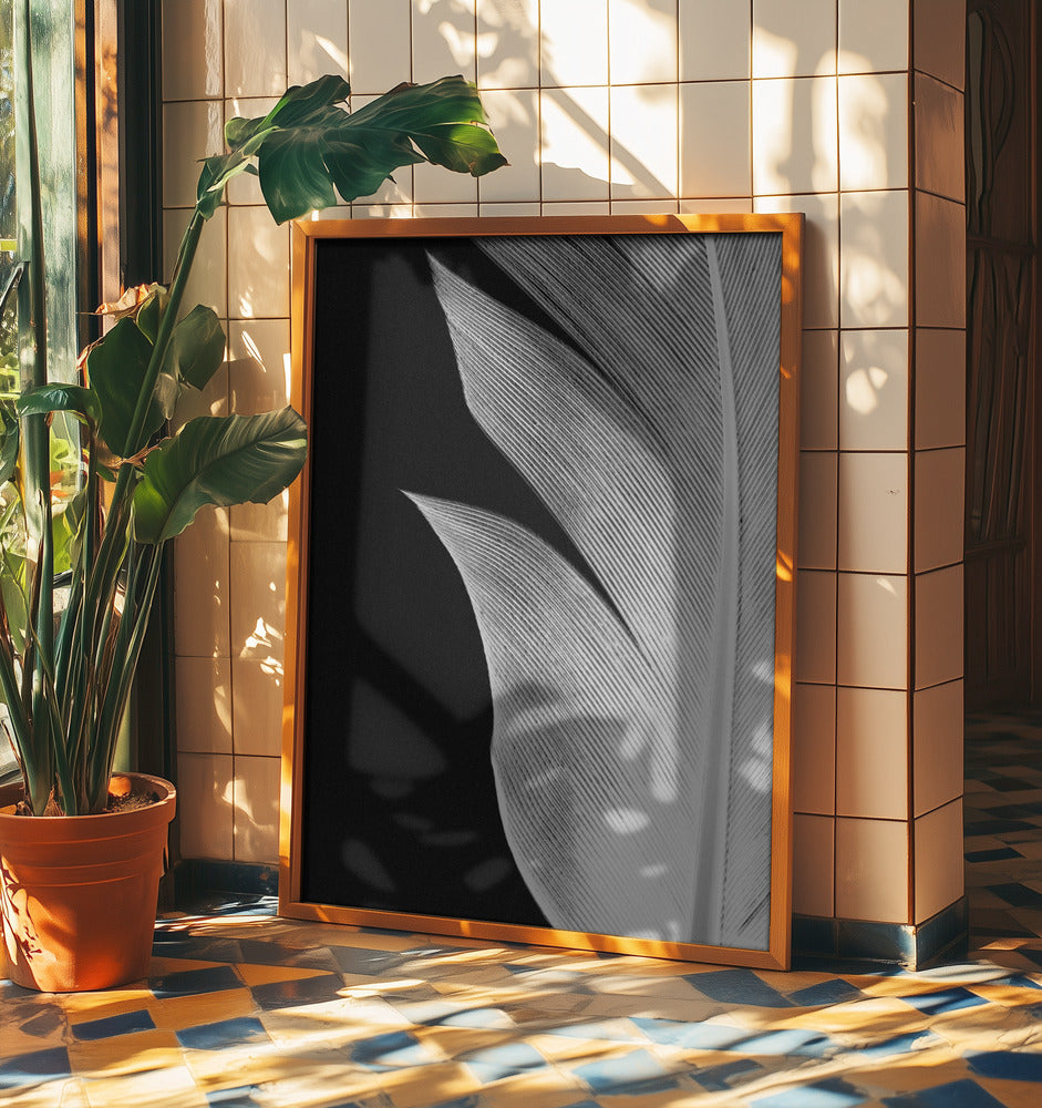 Feather_005 | Poster