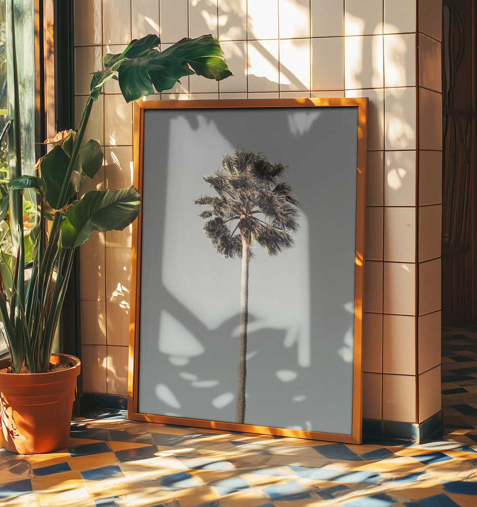 Palm_001 | Poster