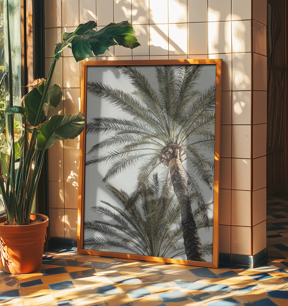 Palm_005 | Affisch